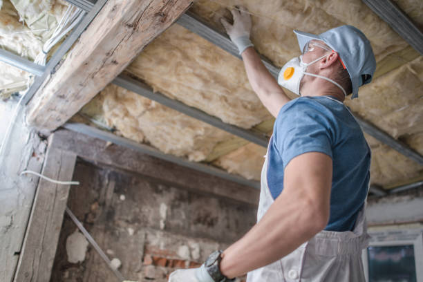 Best Insulation Materials and Products in Lynnville, IN